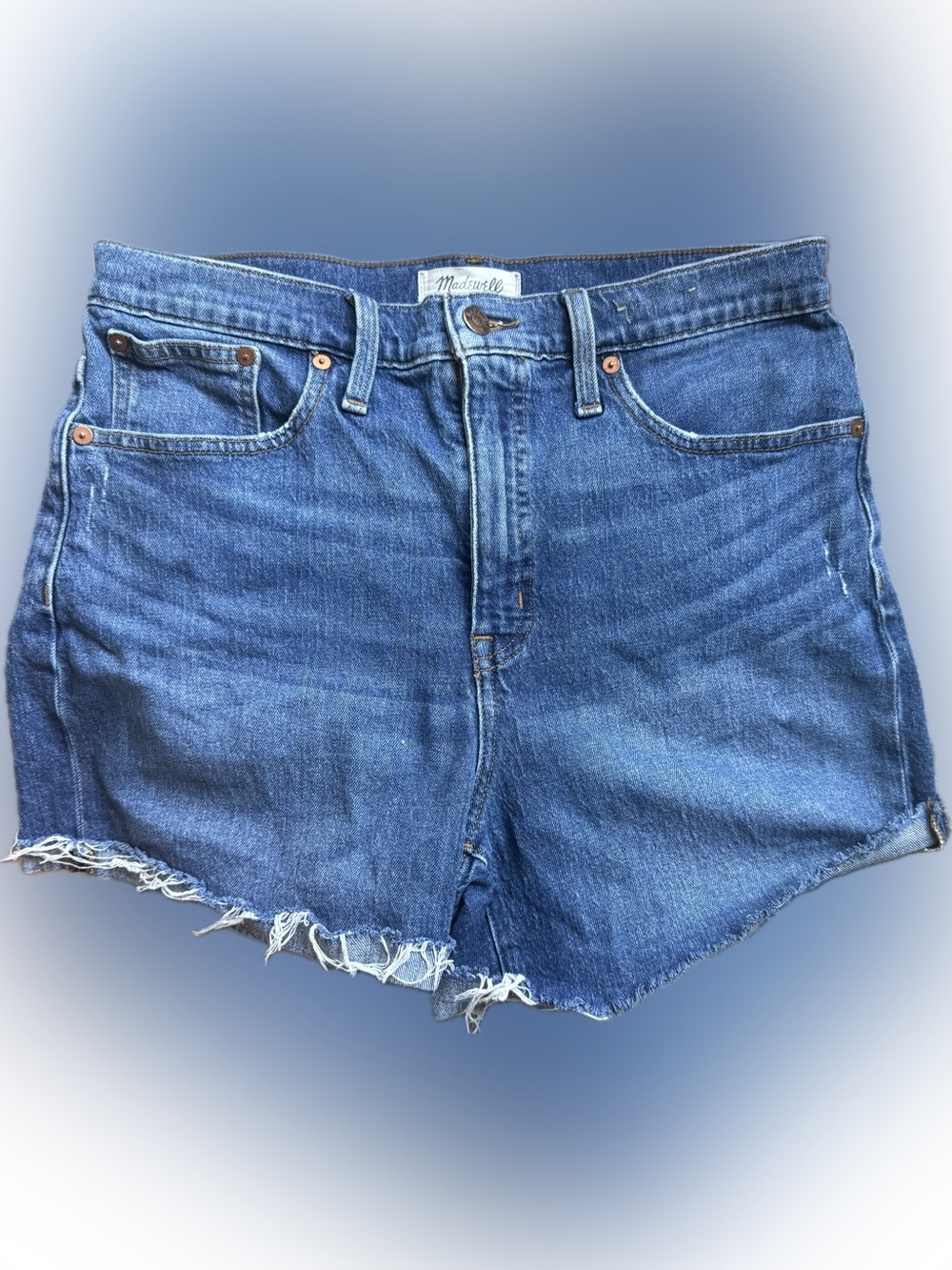 Madewell High-Rise Raw Hem Denim Shorts Size 29 Boho Festival Jorts